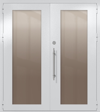 Двупольная техническая дверь с максимальными стеклами (цвет светло-серый RAL 7047)