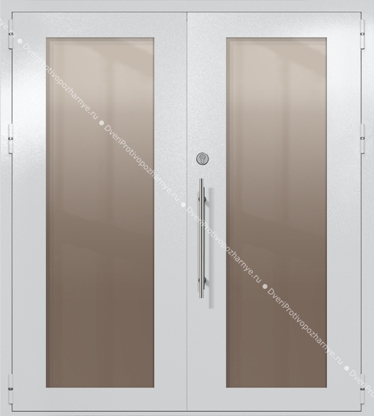 Двупольная техническая дверь с максимальными стеклами (цвет светло-серый RAL 7047) Двупольная техническая дверь с максимальными стеклами (цвет светло-серый RAL 7047)