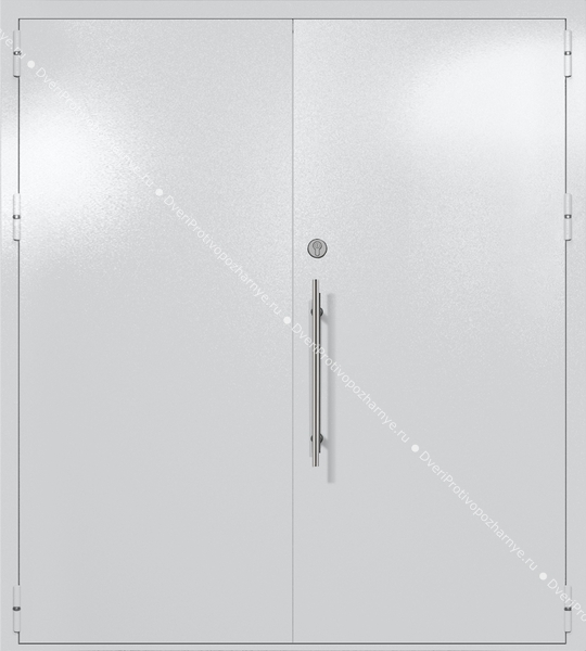 Двупольная глухая техническая дверь (цвет светло-серый RAL 7047) Двупольная глухая техническая дверь (цвет светло-серый RAL 7047)