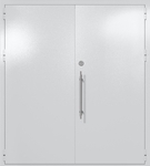 Двупольная глухая техническая дверь (цвет светло-серый RAL 7047)
