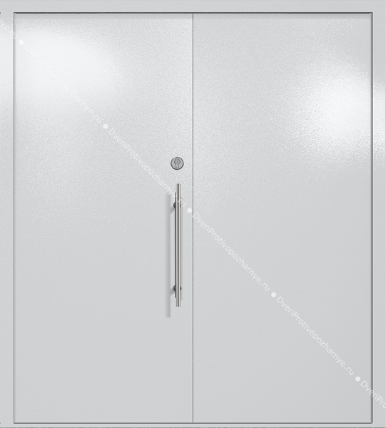 Двупольная глухая техническая дверь (цвет светло-серый RAL 7047) Двупольная глухая техническая дверь (цвет светло-серый RAL 7047)