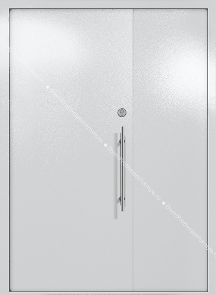Полуторапольная глухая техническая дверь (цвет светло-серый RAL 7047) Полуторапольная глухая техническая дверь (цвет светло-серый RAL 7047)